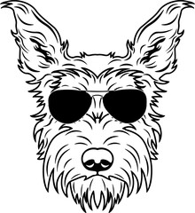 Berger Picard In Sunglasses