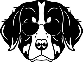 Bernese Mountain Dog In Sunglasses