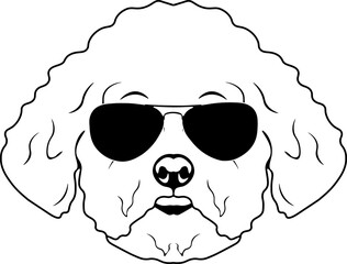Bichon Frise In Sunglasses