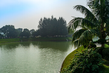 Obraz premium serene lake surrounded by lush greenery and palm trees under hazy sky.