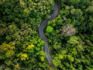 Aerial view of narrow street between woodland green forest , top birdeye's view from drone