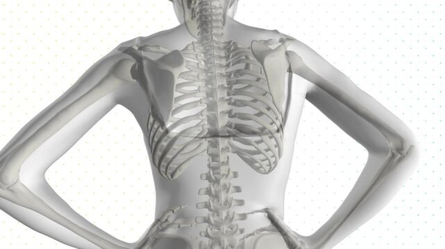 Lower back pain. Black and white scheme. A standing girl. Medicine.