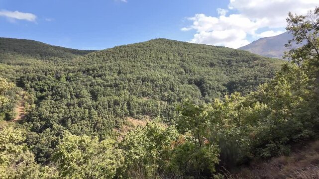 Paneo de camara en un paisaje de monta&ntilde;a bosque y campo con arboles frondosos y colinas en el horizonte en un dia claro con cielo azul