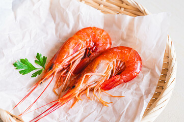 アルゼンチンアカエビ