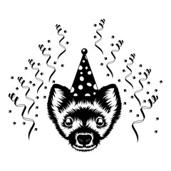 Birthday Party Weasel