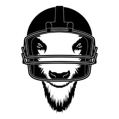 Bison In Football Helmet