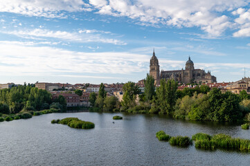 View of Salamanca (Spain) at sunset from the Enrique Estevan over the Tormes river