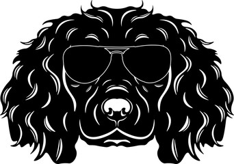 Boykin Spaniel In Sunglasses