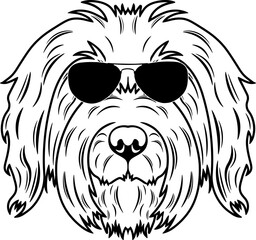 Briard In Sunglasses