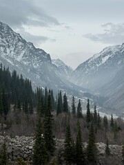 Fototapeta premium Snow covered mountains