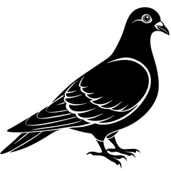 Black Silhouette Bird Pigeon Vector - Minimalist Design for Art and Print