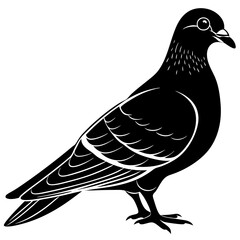 Black Silhouette Bird Pigeon Vector - Minimalist Design for Art and Print