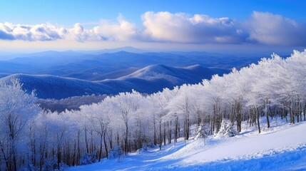 Obraz premium Sugar Mountain North Carolina. Winter Ski Resort in Blue Light with Mountain Scenic Views