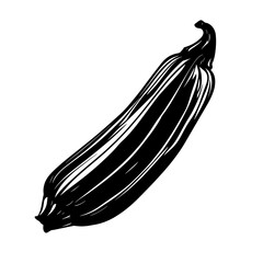  vector silhouette of a Okra