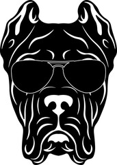 Cane Corso In Sunglasses