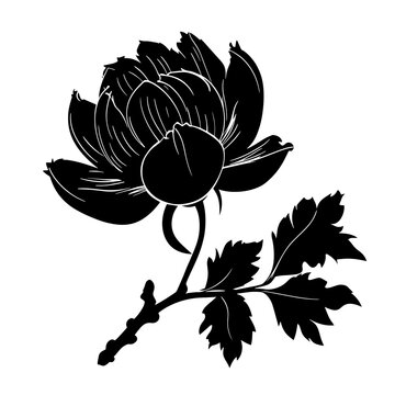 black peony flower silhouette on white clip art preview
