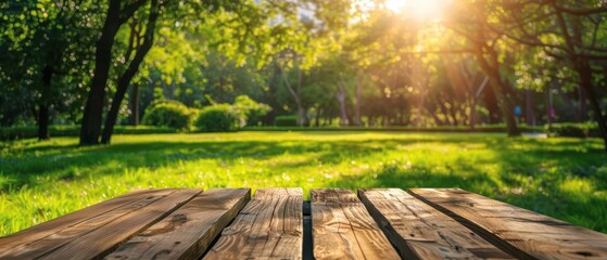A serene view of a sunlit park with lush greenery and wooden flooring, perfect for showcasing nature and tranquility.