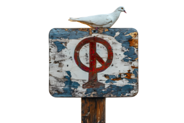 Symbolizing Peace on a Protest Sign