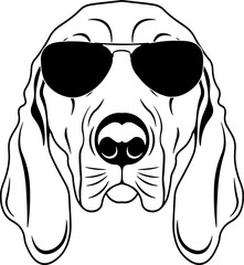 Coonhound In Sunglasses