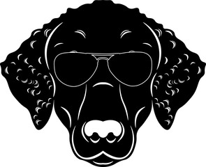 Curly Coated Retriever In Sunglasses