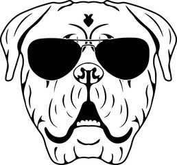 Dogue de Bordeaux In Sunglasses