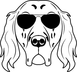 English Setter In Sunglasses