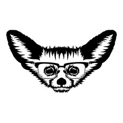 Fennec Fox In Glasses