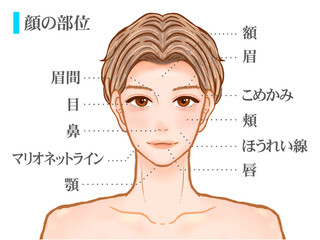 Fototapeta premium イケメン大人男性の顔の部位の図解イラスト素材