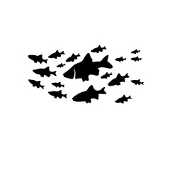 Silhouettes of groups of fishes on white. Vector