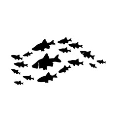 Silhouettes of groups of fishes on white. Vector