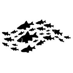 Silhouettes of groups of fishes on white. Vector