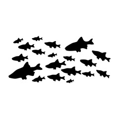 Silhouettes of groups of fishes on white. Vector