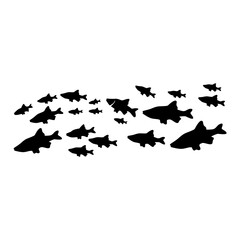 Silhouettes of groups of fishes on white. Vector
