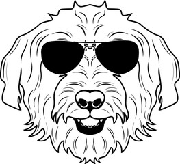 Obraz premium Glen of Imaal Terrier In Sunglasses