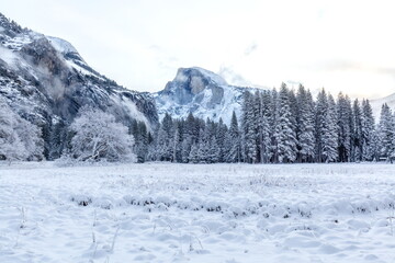 Fototapeta premium The winter landscape of Yosemite National Park, California-USA