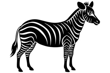 zebra vector illustration