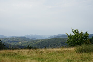 Silhouette von Windmühlen 