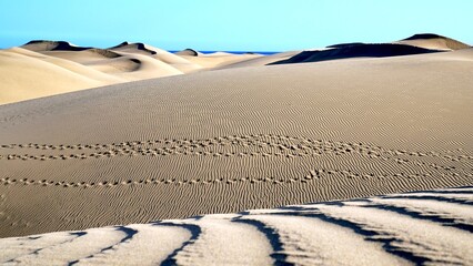 In the foreground, the rich texture of the sand unfolds in an intricate pattern, while dune peaks,...