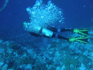 Egypt is one of the world's leading diving destinations.
With its beautiful coral reefs, amazing underwater fauna and ideal diving conditions, Egypt attracts underwater enthusiasts from all over the w