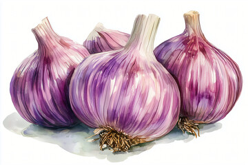 Fresh garlic bulbs in watercolor style, showcasing their vibrant purple skin and unique shapes. This artistic representation highlights beauty of garlic.