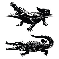 Fototapeta premium Crocodiles Dragon Silhouette of Reptile Species