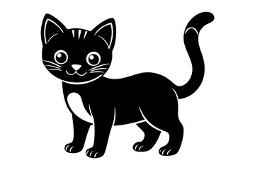 black and white cat