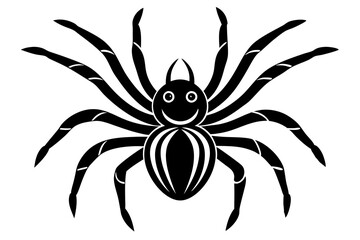 spider on a white background
