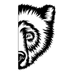Grizzly Bear Half Face
