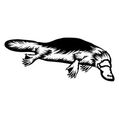 Platypus