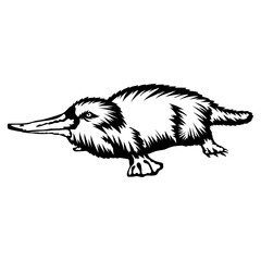 Platypus