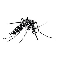 Black and White Mosquito Sketch Art