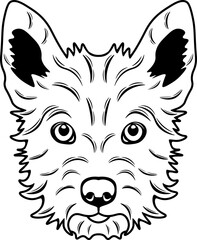 Portuguese Podengo Pequeno