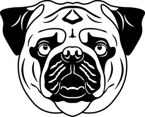 Pug
