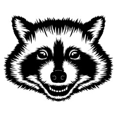 Raccoon Face
